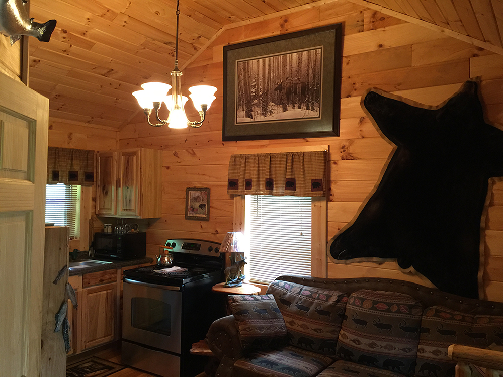 bear-den-cabin-living-room3